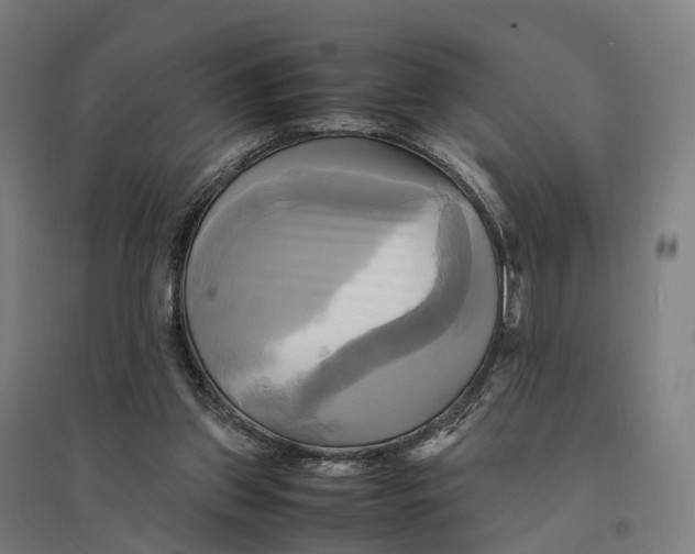 X0000095120157200712301809