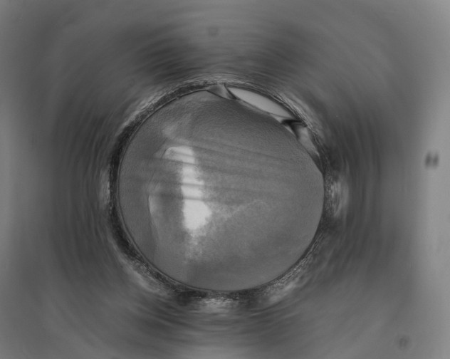 X0000095120158200712301809