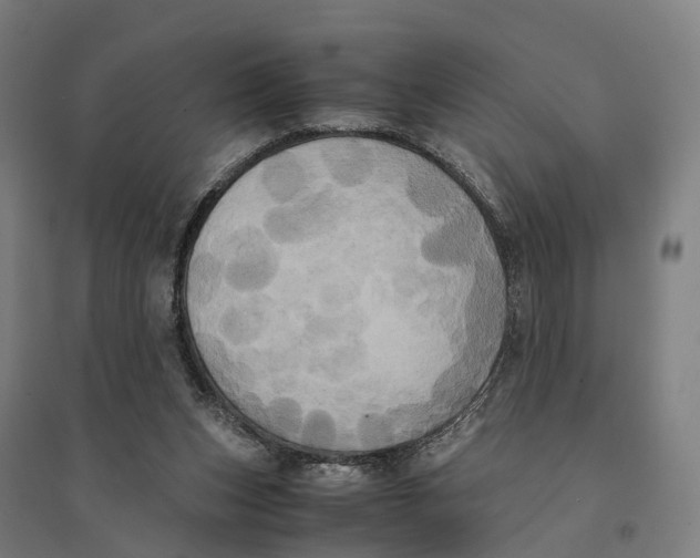 X0000095120159200712301809