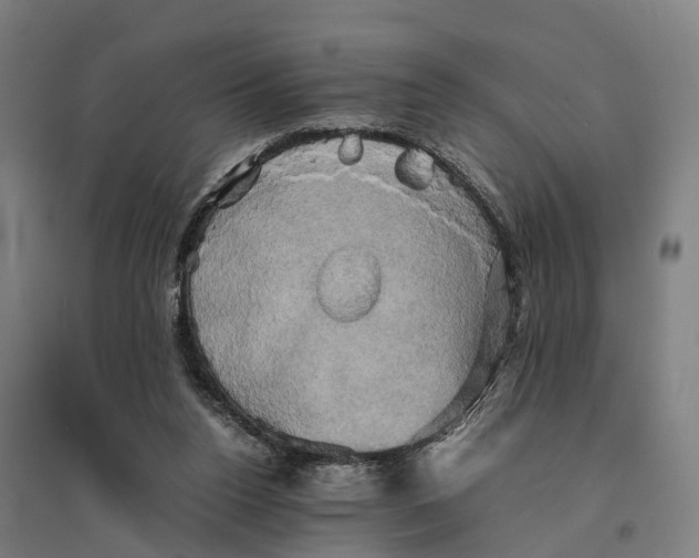 X0000095120160200712301809