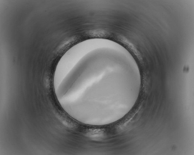 X0000095120161200712301809