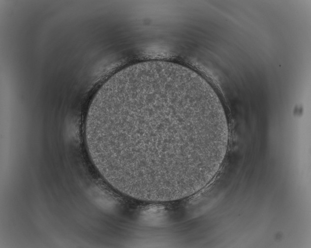 X0000095120162200712301809