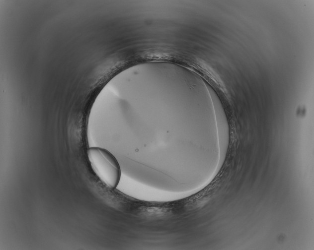 X0000095120163200712301809