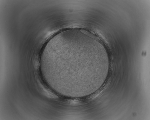 X0000095120164200712301809