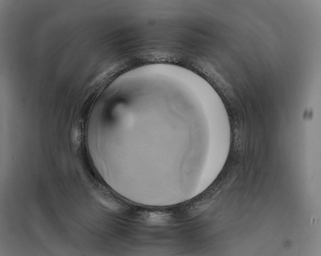 X0000095120165200712301809