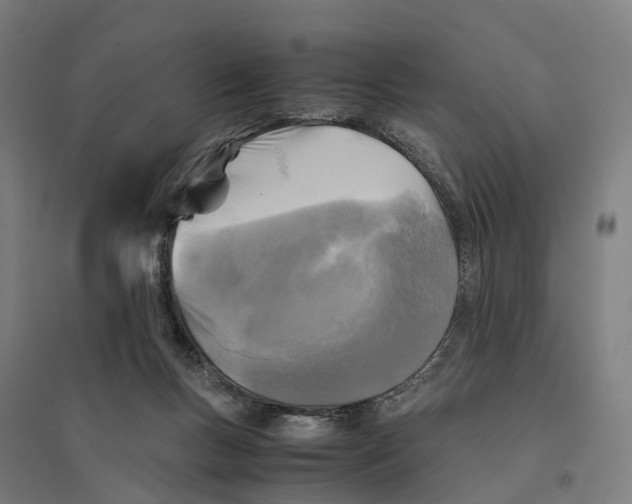 X0000095120167200712301809