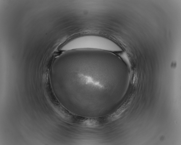 X0000095120168200712301809