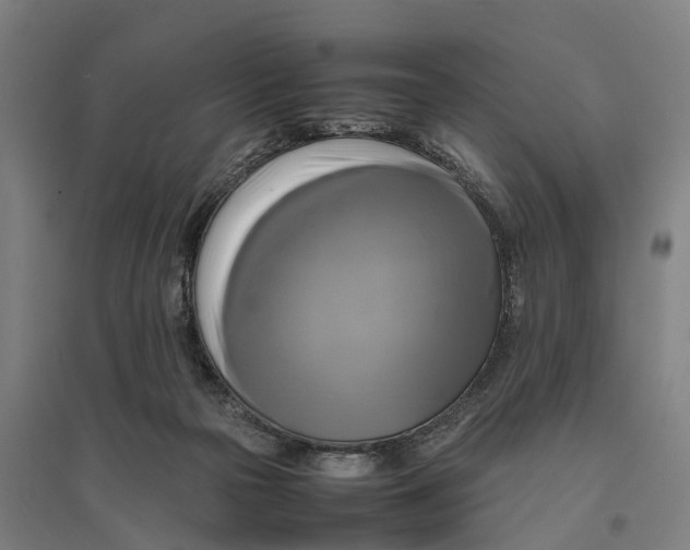 X0000095120169200712301809