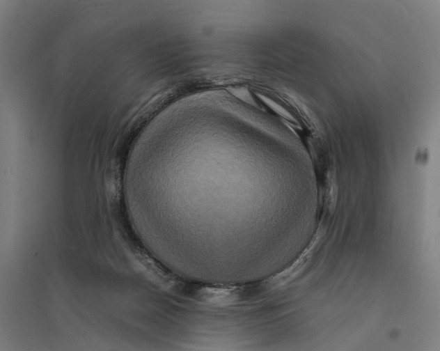 X0000095120170200712301809