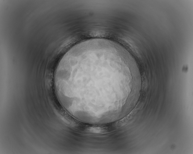 X0000095120171200712301809