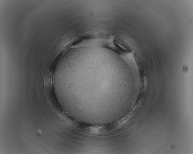 X0000095120172200712301809