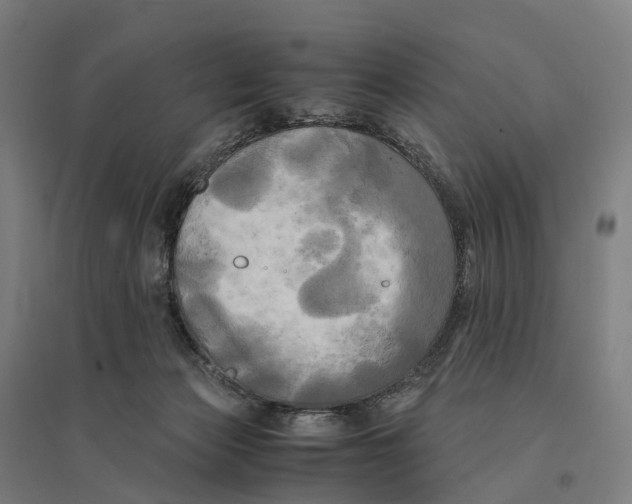 X0000095120173200712301809