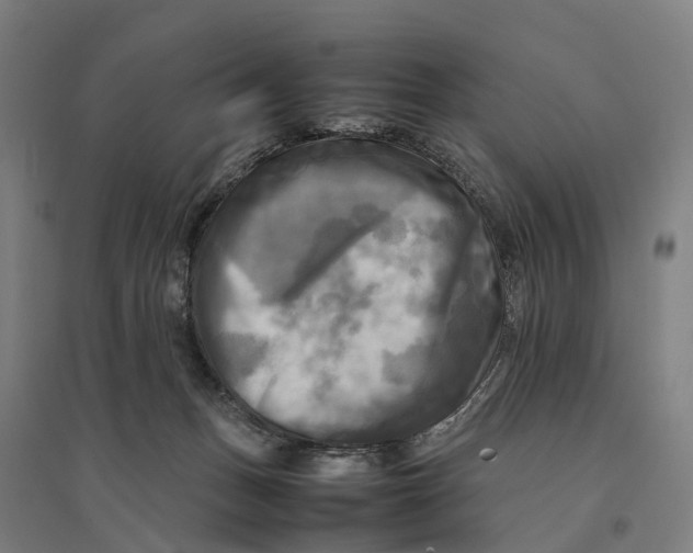 X0000095120175200712301809