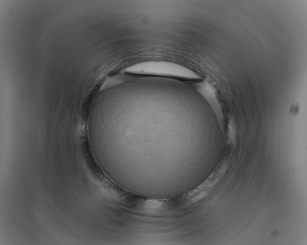 X0000095120176200712301809