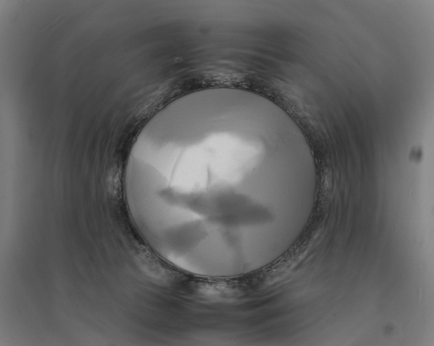 X0000095120177200712301809