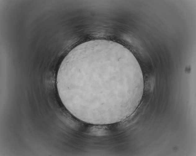 X0000095120179200712301809