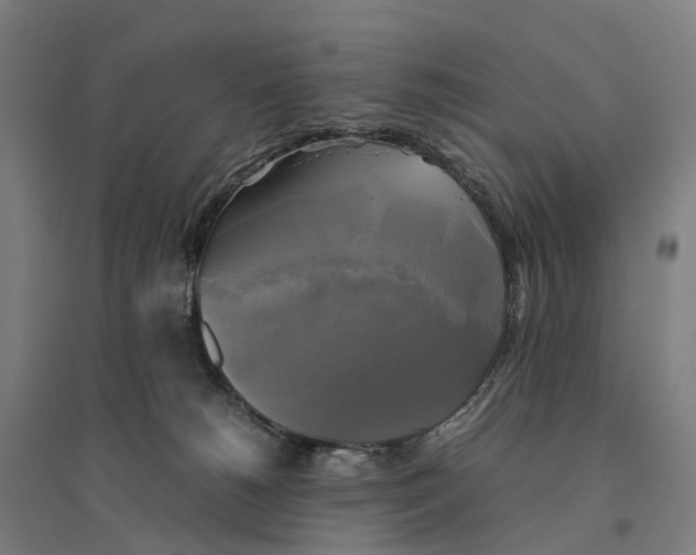 X0000095120180200712301809