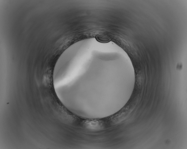 X0000095120181200712301809