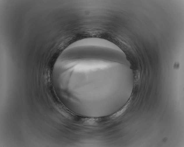 X0000095120182200712301809