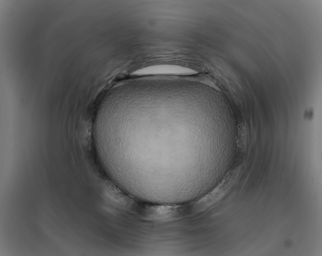 X0000095120184200712301809