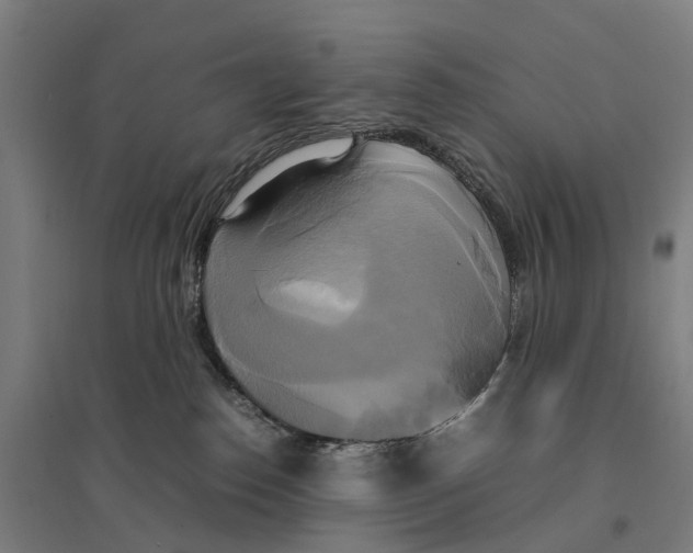 X0000095120186200712301809