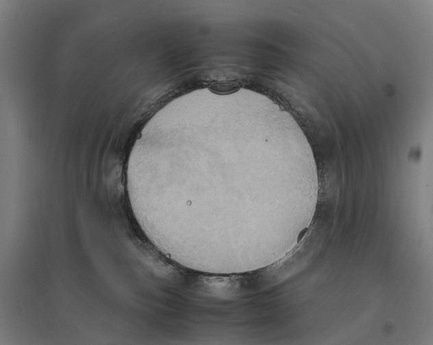 X0000095120187200712301809