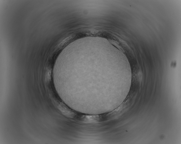 X0000095120188200712301809