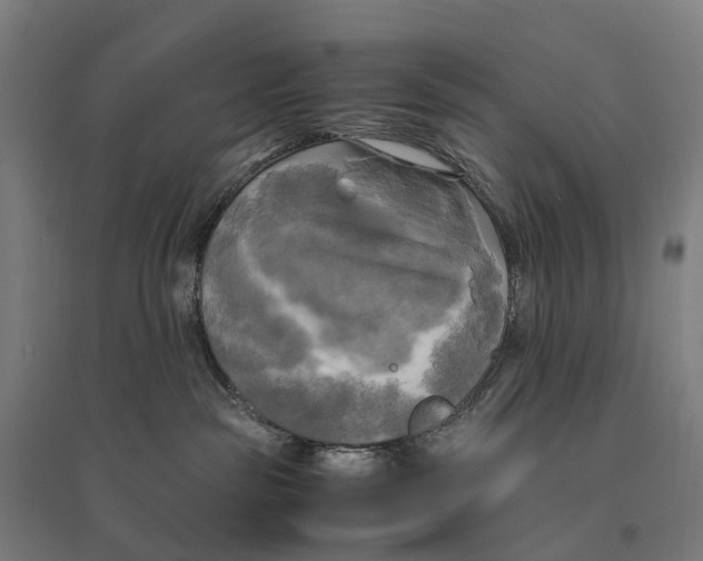 X0000095120189200712301809