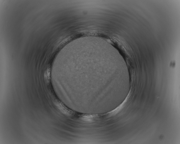 X0000095120190200712301809