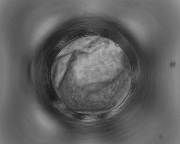 X0000095120191200712301809