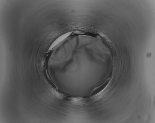 X0000095120192200712301809