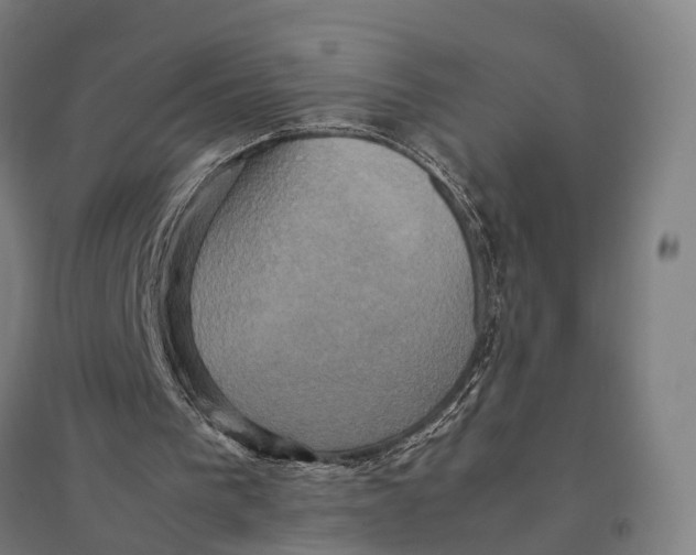 X0000095120193200712301808