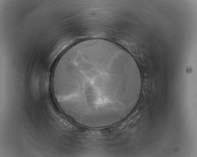 X0000095120194200712301808