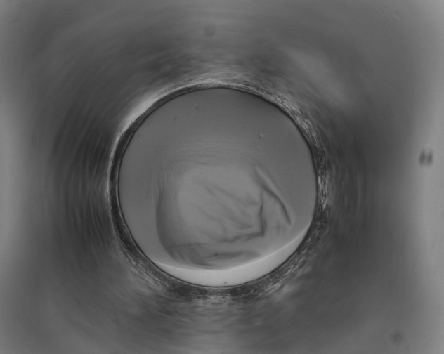 X0000095120196200712301808