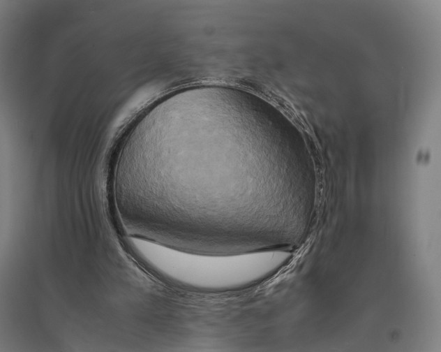 X0000095120197200712301808