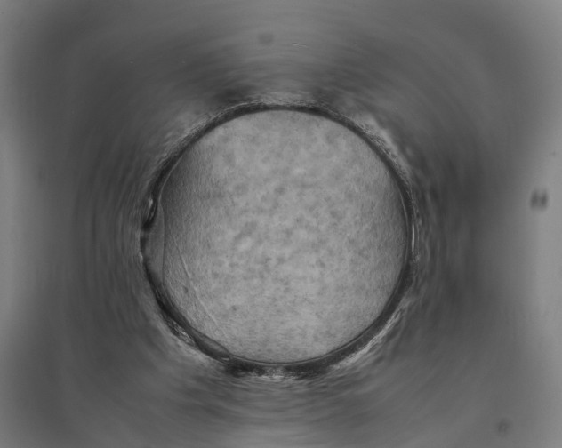 X0000095120201200712301808