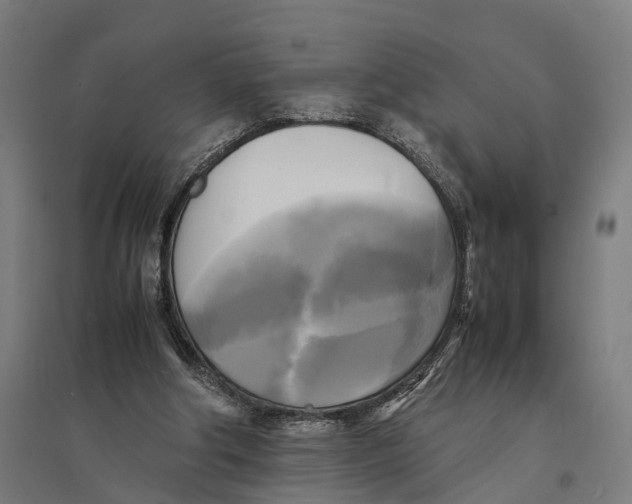 X0000095120202200712301808