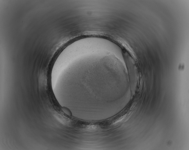 X0000095120204200712301808