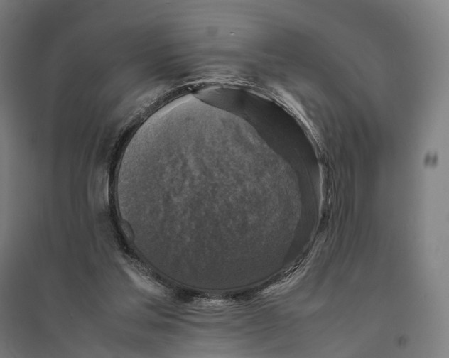 X0000095120205200712301808