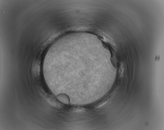 X0000095120206200712301808