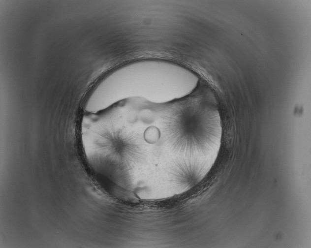 X0000095120207200712301808