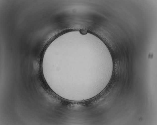 X0000095120208200712301808