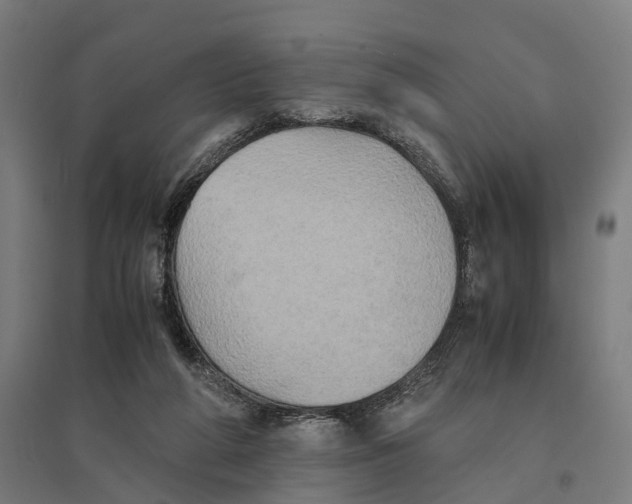 X0000095120210200712301808