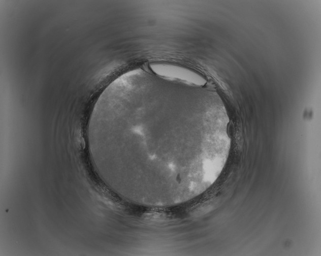 X0000095120211200712301808