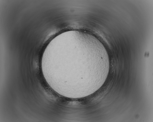 X0000095120212200712301808