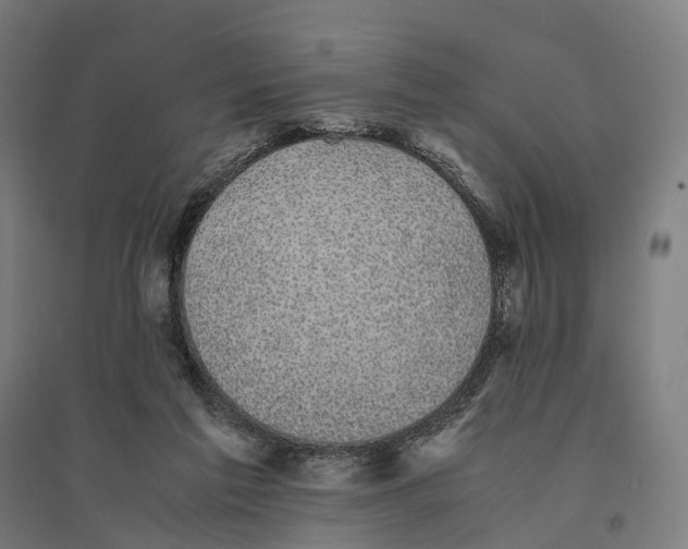 X0000095120213200712301808