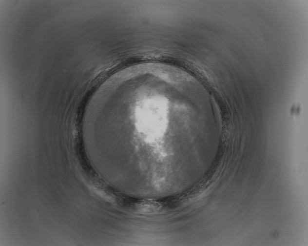 X0000095120215200712301808