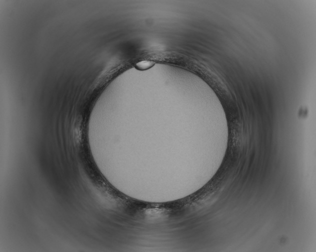 X0000095120216200712301808