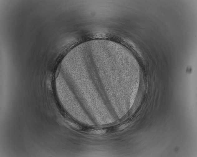 X0000095120217200712301808