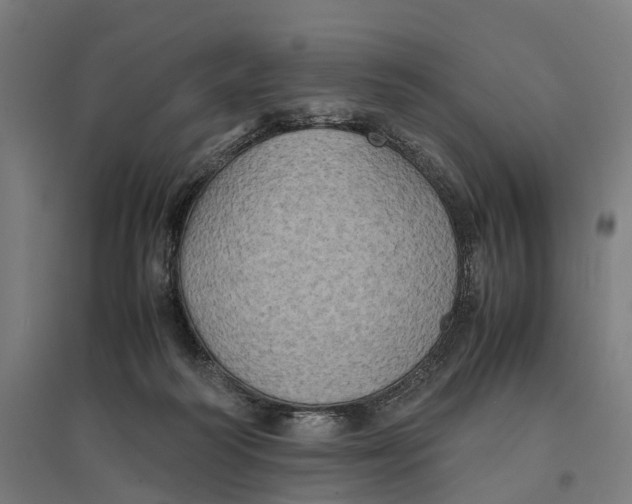 X0000095120218200712301808